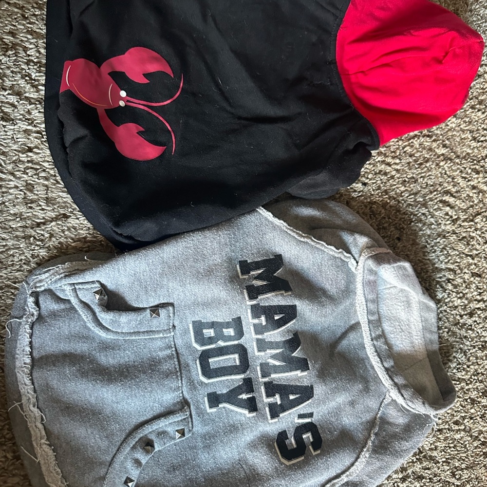 🐾🖤❤️ Gray and Black Dog Hoodies with Red Accents ❤️🖤🐾